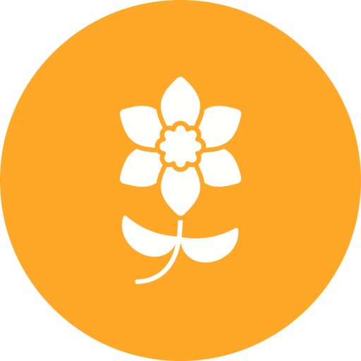 THE RESIDENCE KD GIRLS