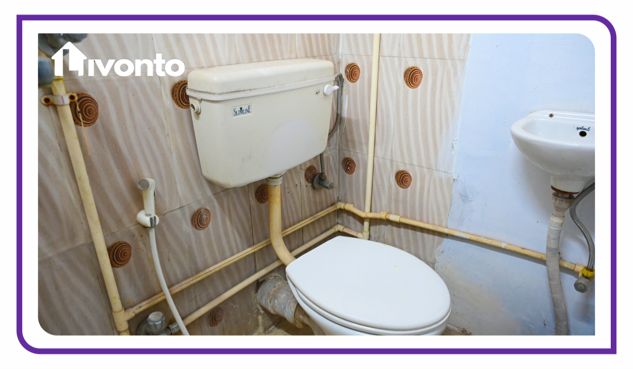 Quinns Inmate - Image 7