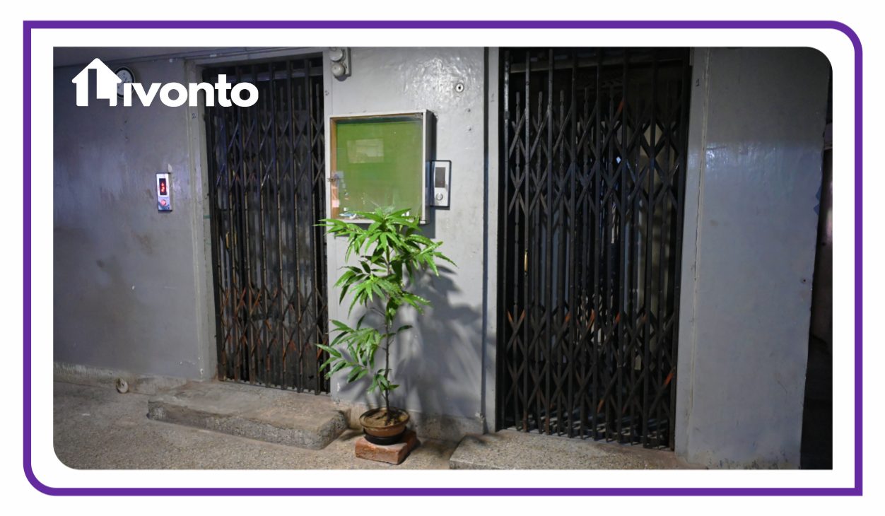 Luxury stay militry kothi - Image 7