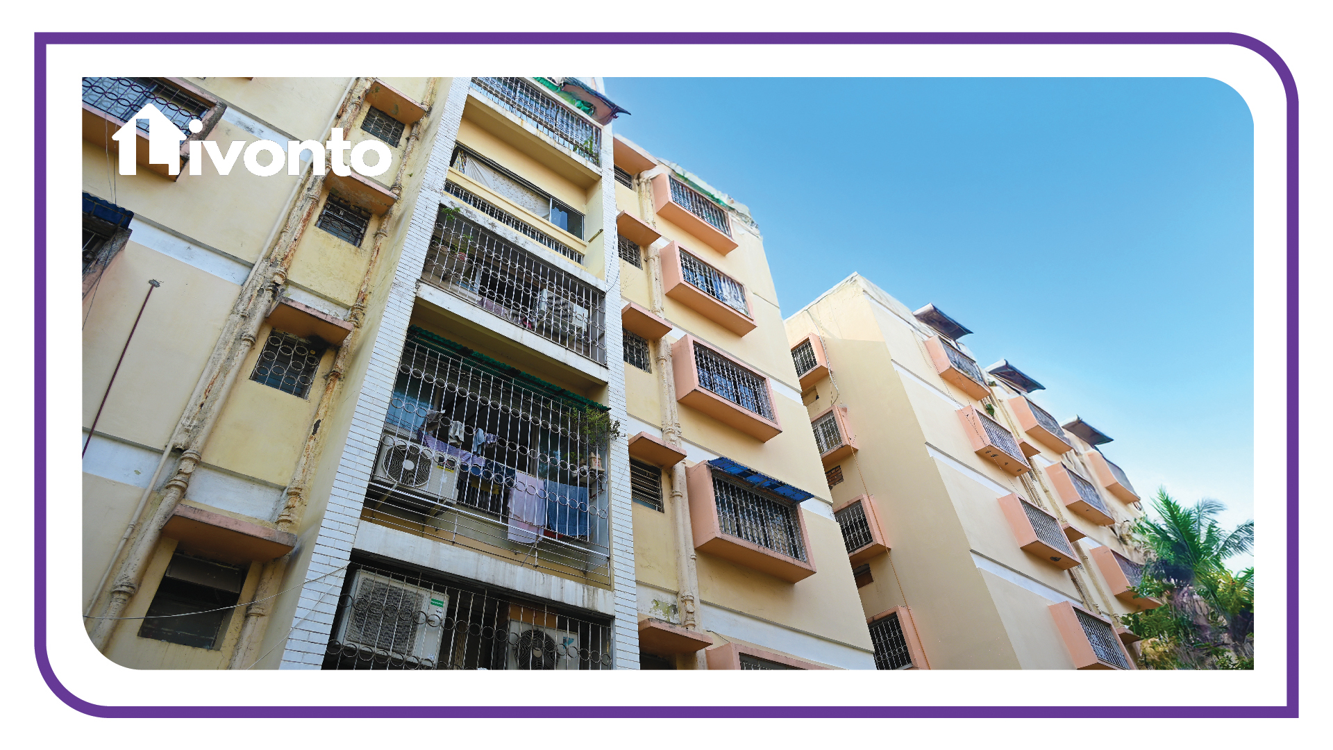 PALM STAYS PREMIUM PG - Image 2