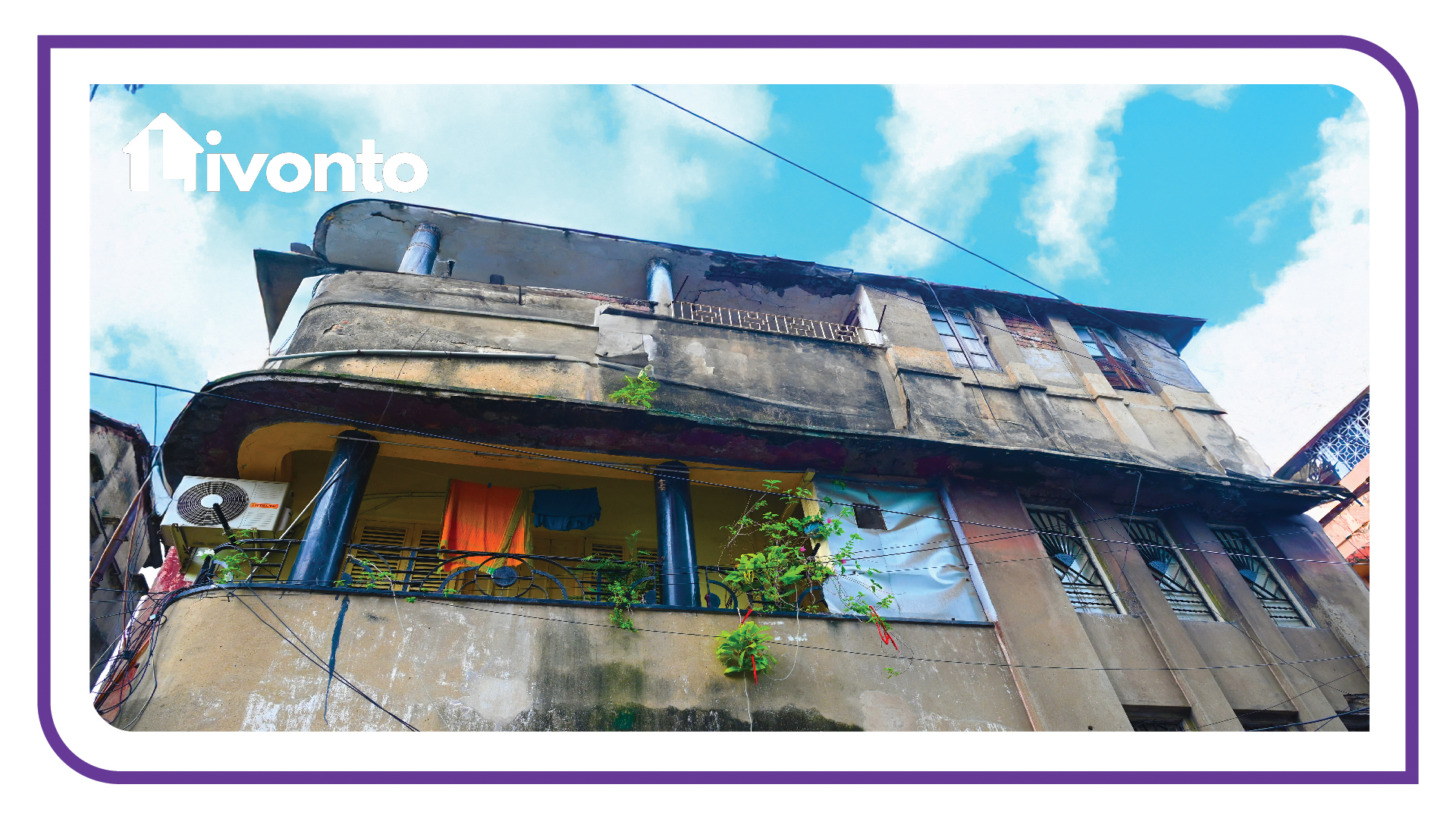 Jai hind The Resident - Image 4